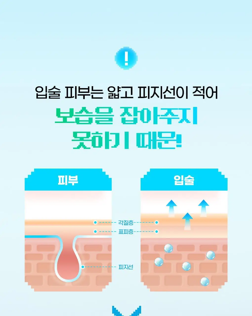 [2025어워즈] 브링그린 대나무 히알루 립 에센스 2입 기획 (보습+컬러) 상세페이지 22